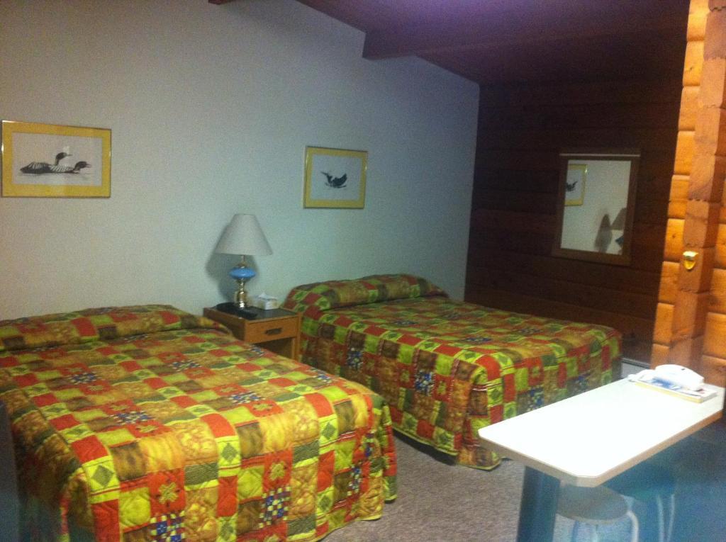 Raccoon Lodge Motel Sylvan Lake Bilik gambar